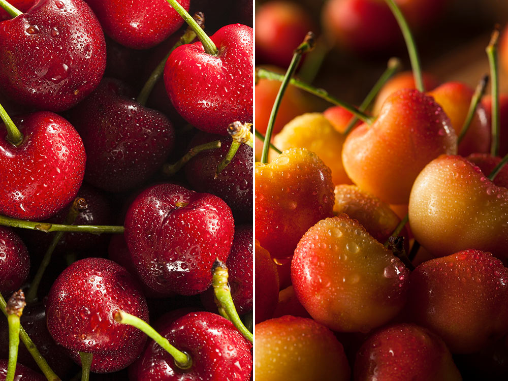 Bing & Rainier Cherries