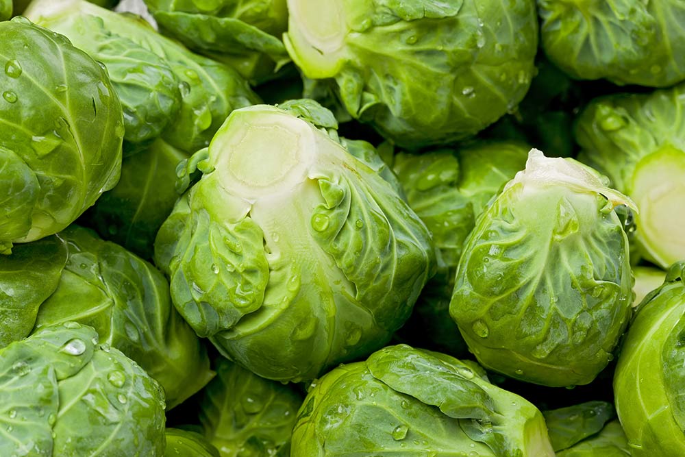 Brussel Sprouts