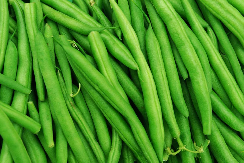 Green Beans