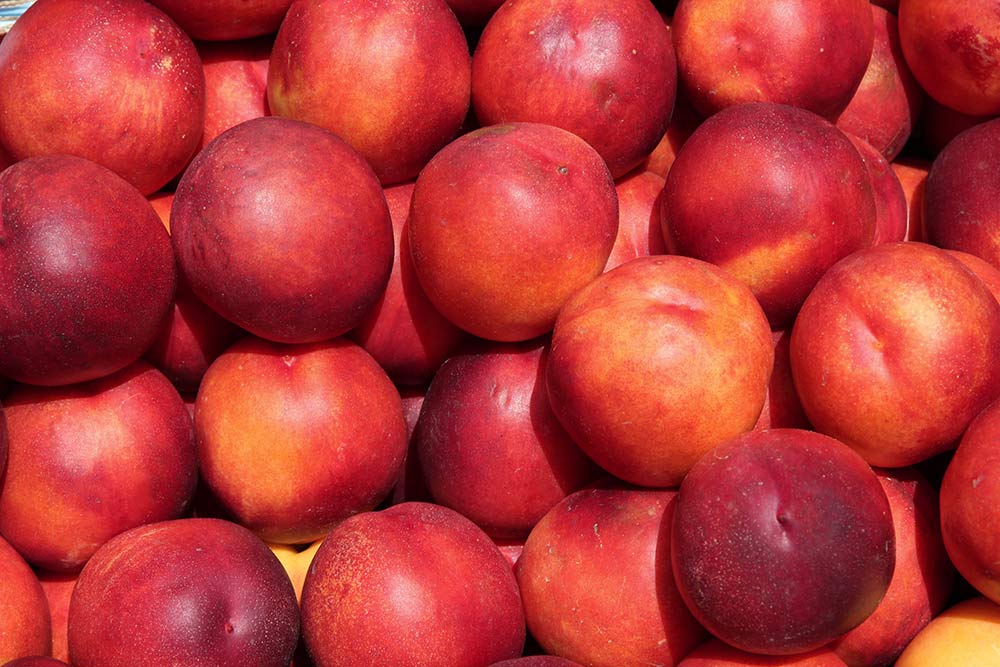 Nectarines