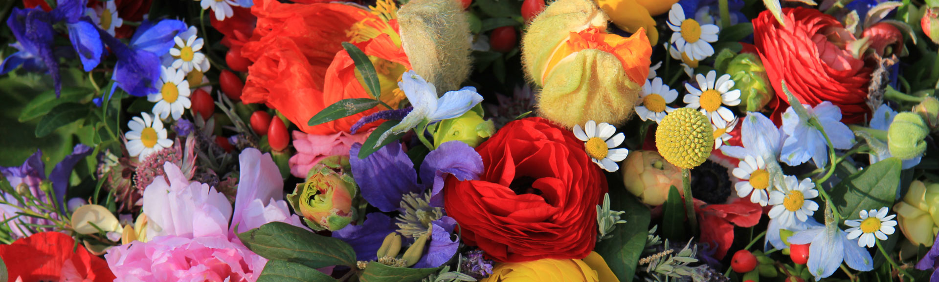 Floral - Garden