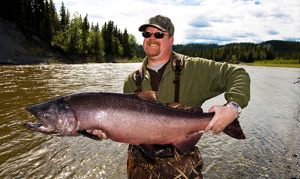 King Salmon Steaks