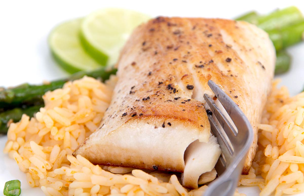 Halibut